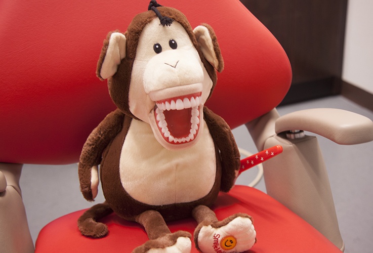 Monkey with large teeth to teach kids brushing